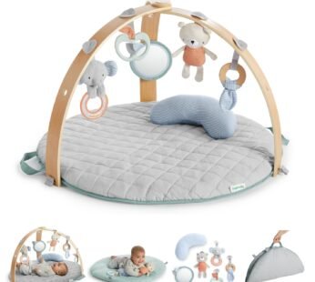 Ingenuity Cozy Spot Reversible Baby Activity Gym with Self Storage