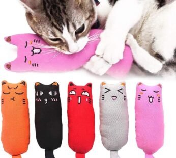 5Pcs Bite Resistant Catnip Toy for Cats,Catnip Filled Cartoon Mice Cat Teething Chew Toy