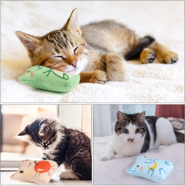 Catnip Toys for Indoor Cats - 5PCS Plush Cat Chew Toys Teething Interactive Catnip Filled Kitten Toy Soft Pet Toy (Animal Shapes) - Image 4